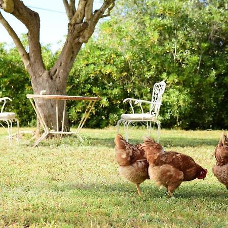 Binicalsitx Casa Rural Ferreries Dış mekan fotoğraf