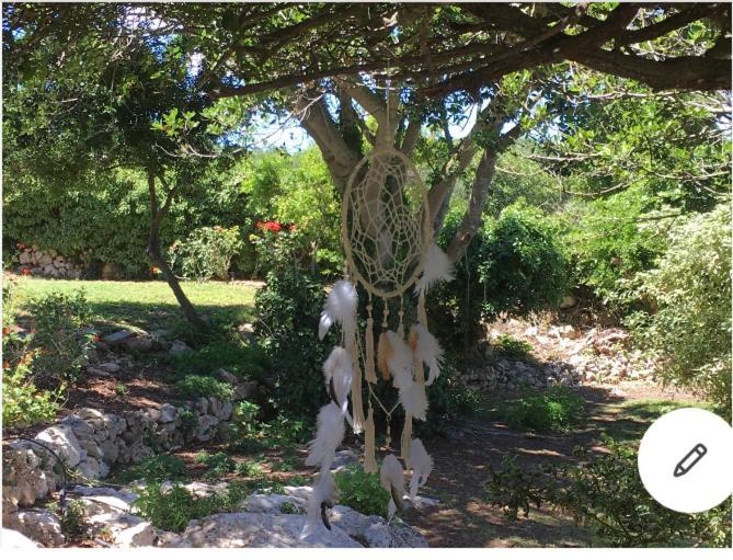 Binicalsitx Casa Rural Ferreries Dış mekan fotoğraf