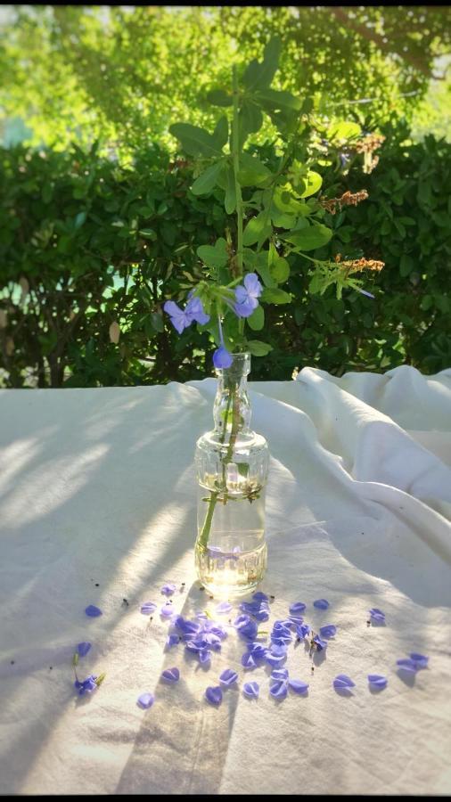 Binicalsitx Casa Rural Ferreries Dış mekan fotoğraf