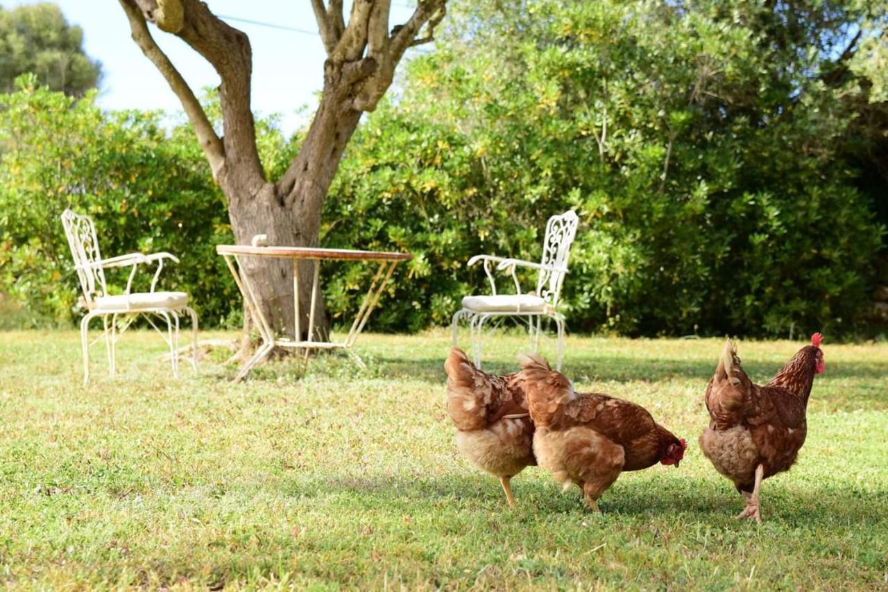 Binicalsitx Casa Rural Ferreries Dış mekan fotoğraf