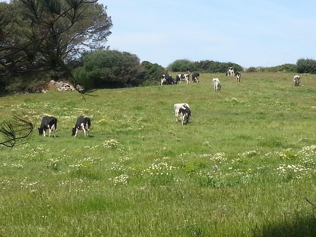 Binicalsitx Casa Rural Ferreries Dış mekan fotoğraf